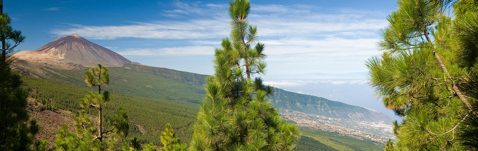חבילות נופש בטנריף